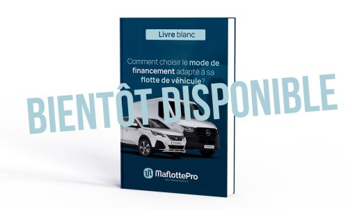 Mockup - Livre blanc - Bientot dispo
